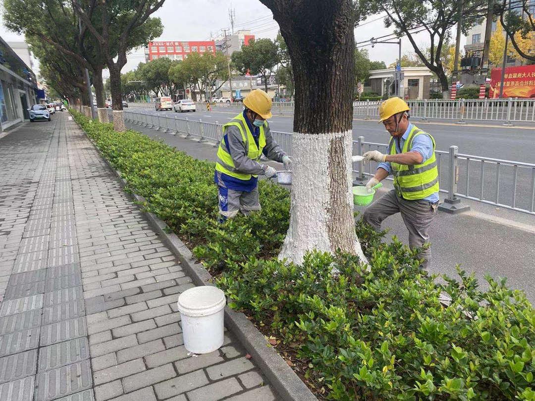 十一月园林绿化养护